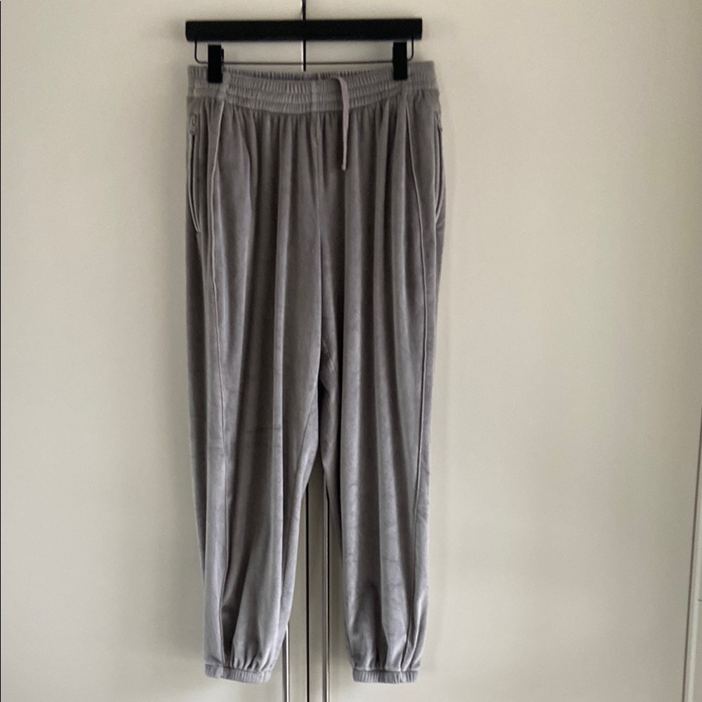 SKIMS Gray Velour Joggers